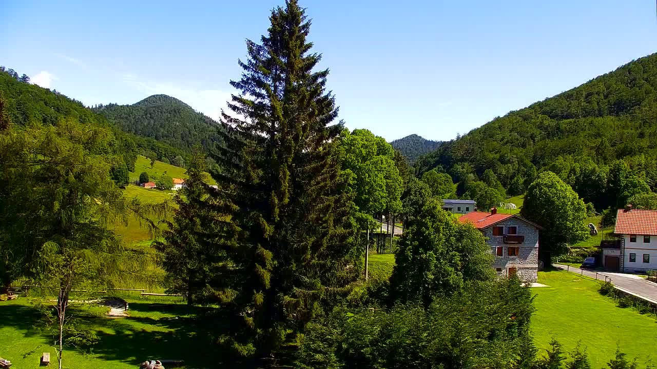 Camera en vivo Lokve – La belleza del bosque de Trnovo
