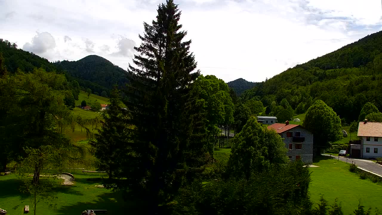 Webcam Lokve – La beauté de la forêt de Trnovo