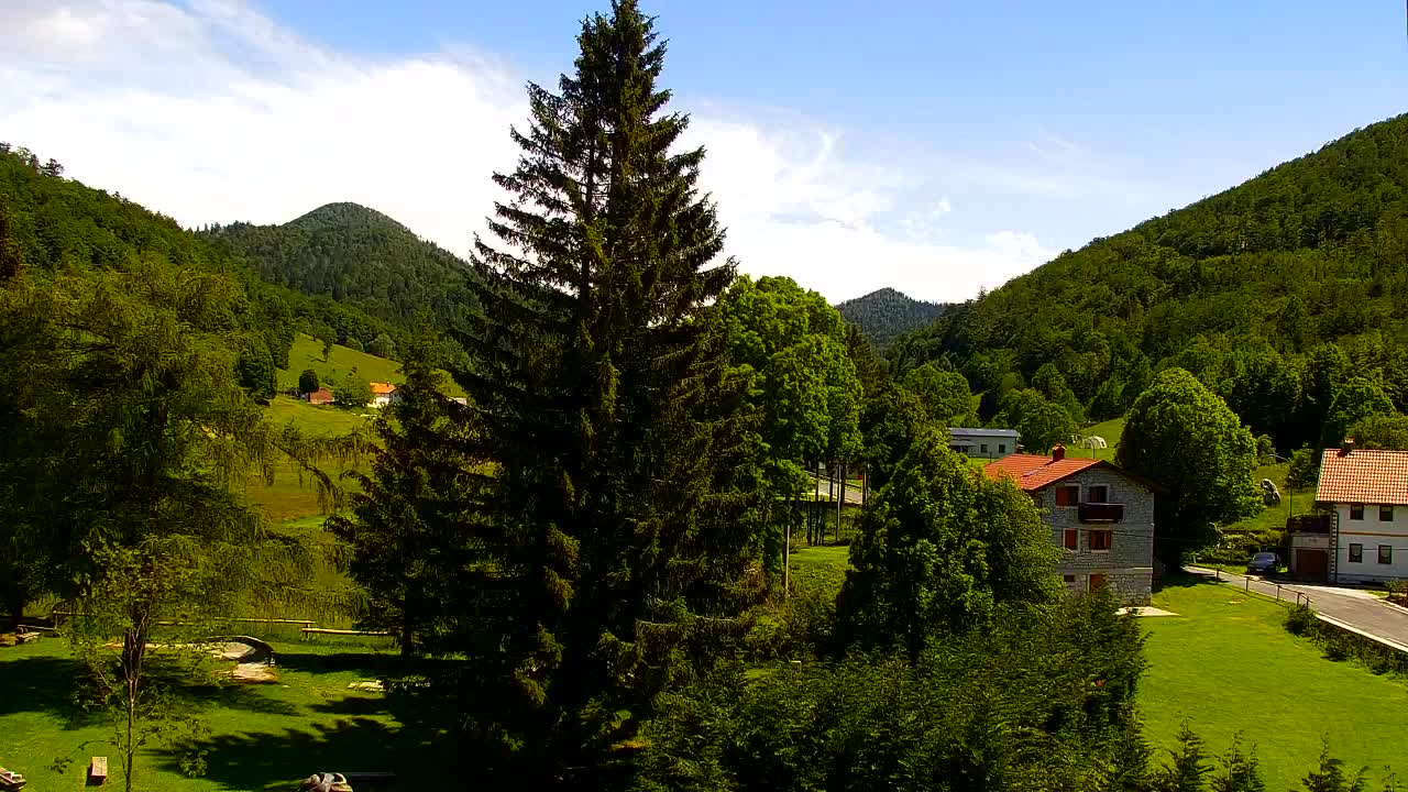 Webcam Loqua / Lokve – La bellezza della selva di Tarnova