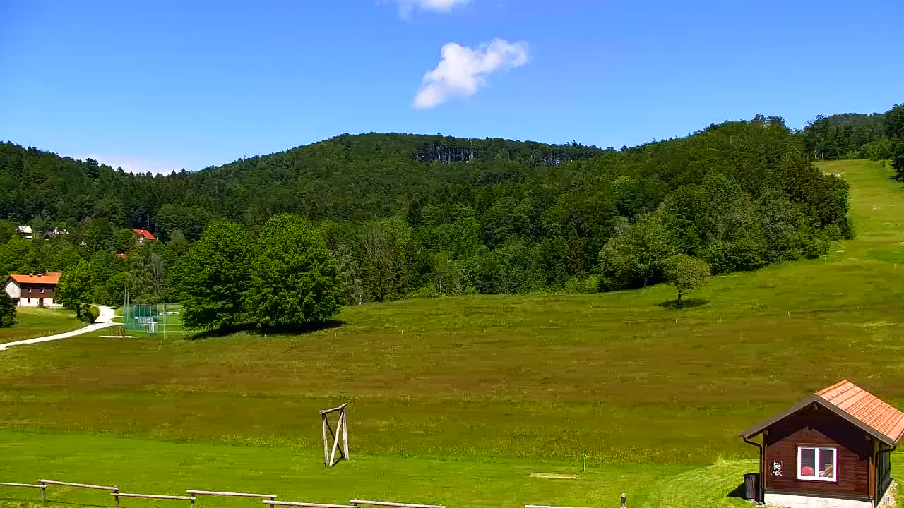 Webcam Lokve – La beauté de la forêt de Trnovo