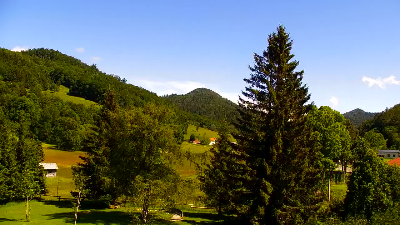 Webcam Lokve – Die Schönheit des Trnovo-Waldes