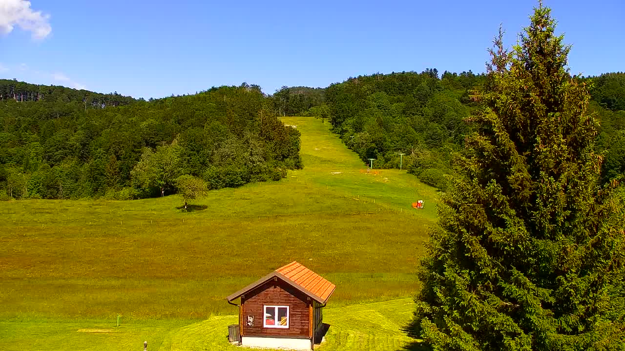 Webcam Loqua / Lokve – La bellezza della selva di Tarnova
