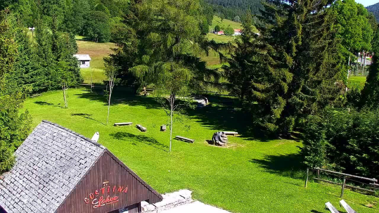 Camera en vivo Lokve – La belleza del bosque de Trnovo