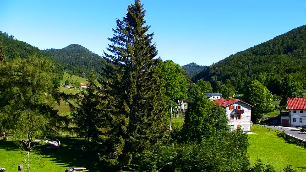 Webcam Lokve – La beauté de la forêt de Trnovo