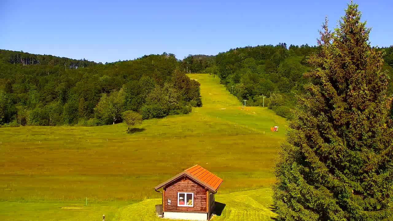 Webcam Loqua / Lokve – La bellezza della selva di Tarnova