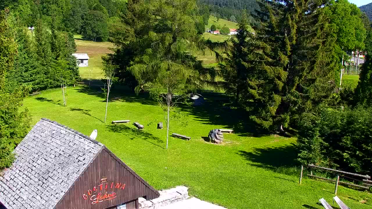 Webcam Loqua / Lokve – La bellezza della selva di Tarnova