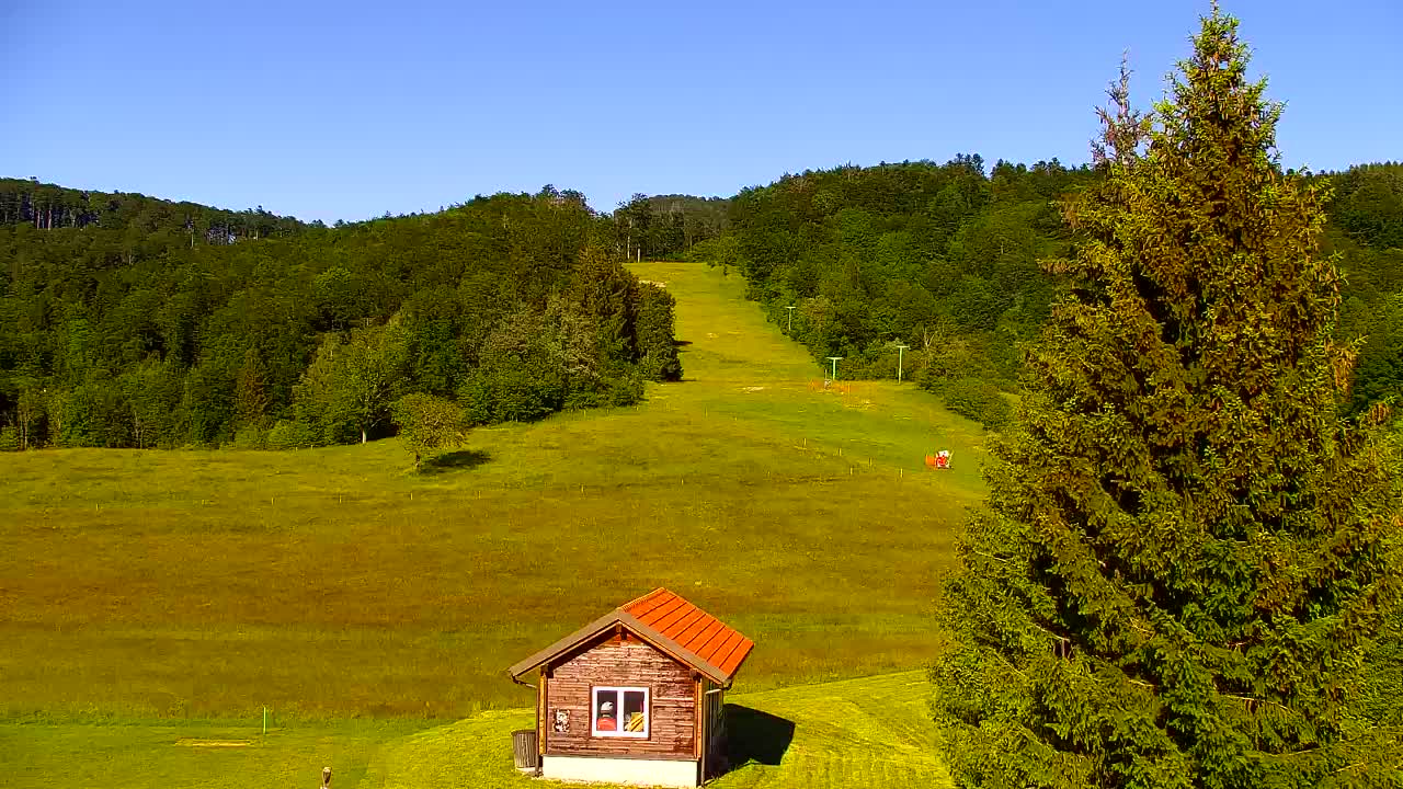 Webcam Lokve – The beauty of the Trnovo forest