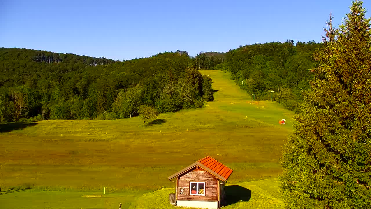 Webcam Lokve – The beauty of the Trnovo forest