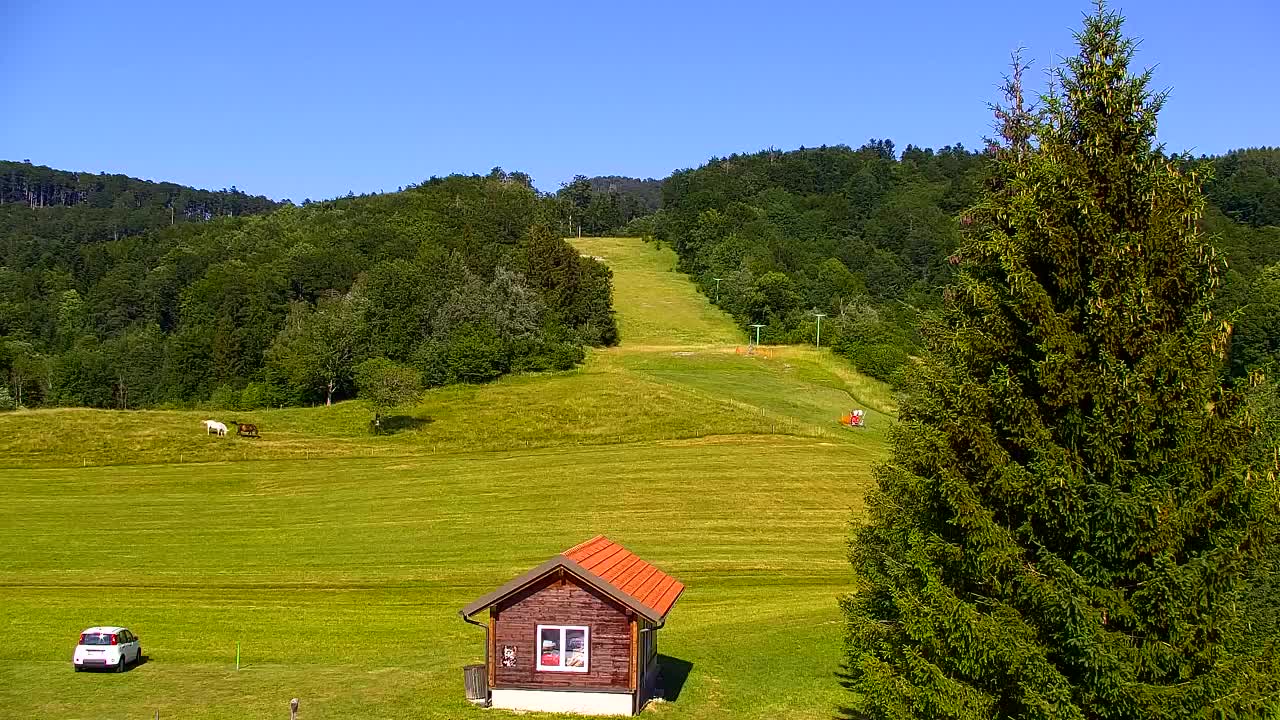 Webcam Lokve – The beauty of the Trnovo forest