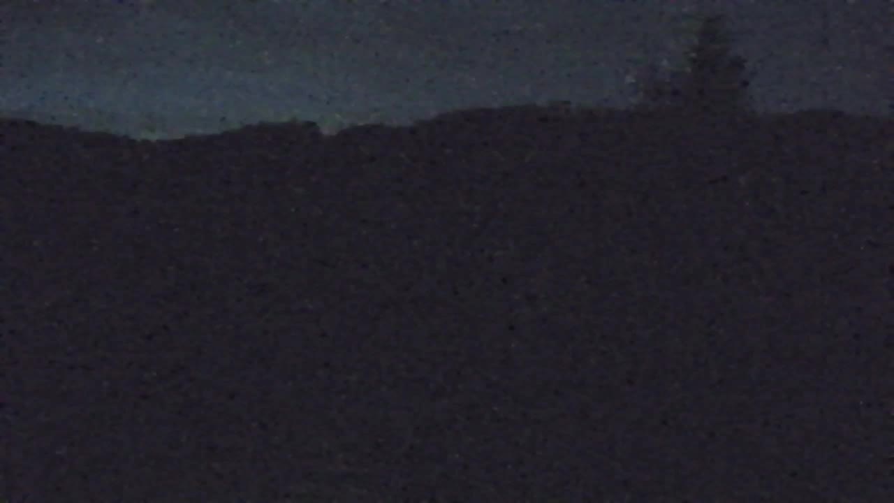 Webcam Lokve – The beauty of the Trnovo forest