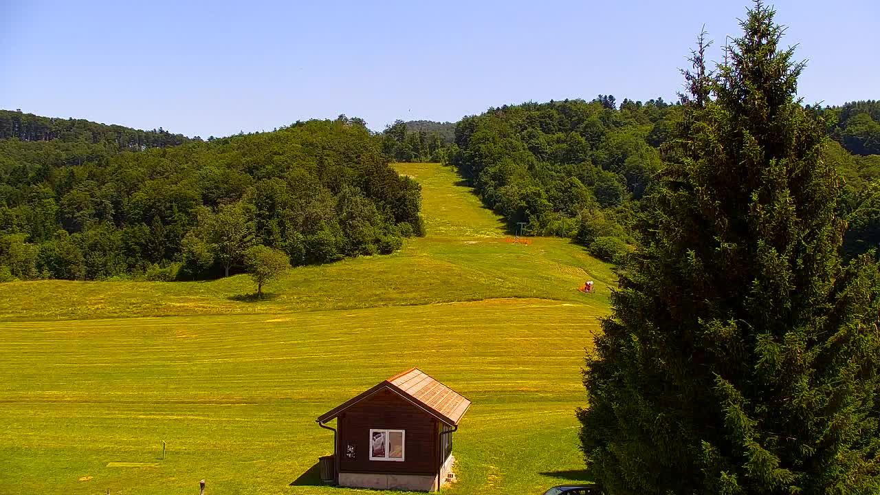 Webcam Lokve – The beauty of the Trnovo forest