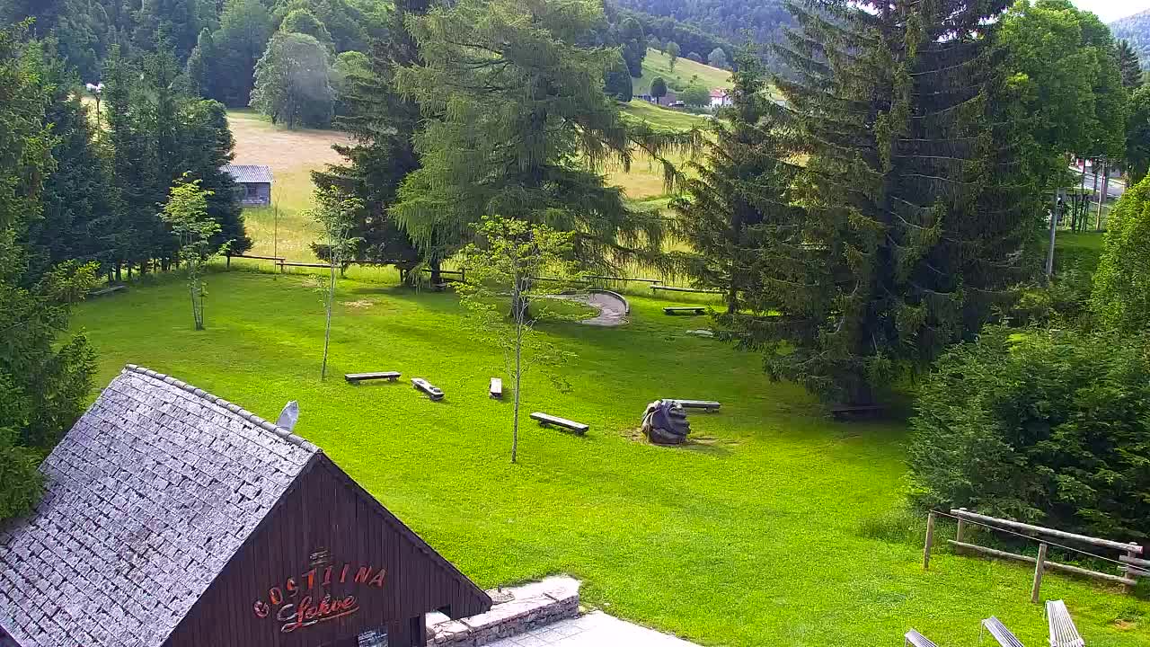 Camera en vivo Lokve – La belleza del bosque de Trnovo