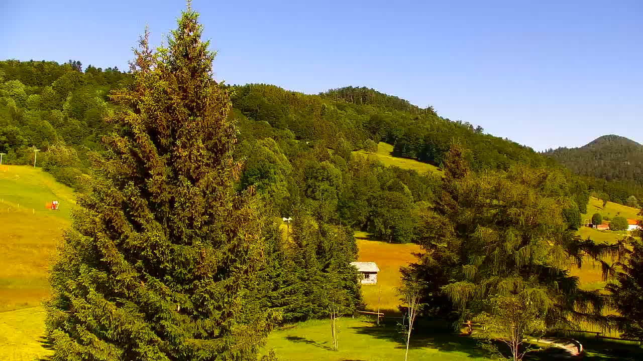 Webcam Lokve – The beauty of the Trnovo forest