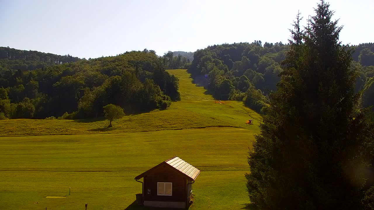 Webcam Lokve – The beauty of the Trnovo forest
