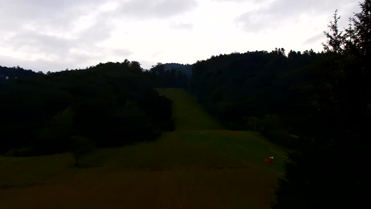Webcam Lokve – The beauty of the Trnovo forest