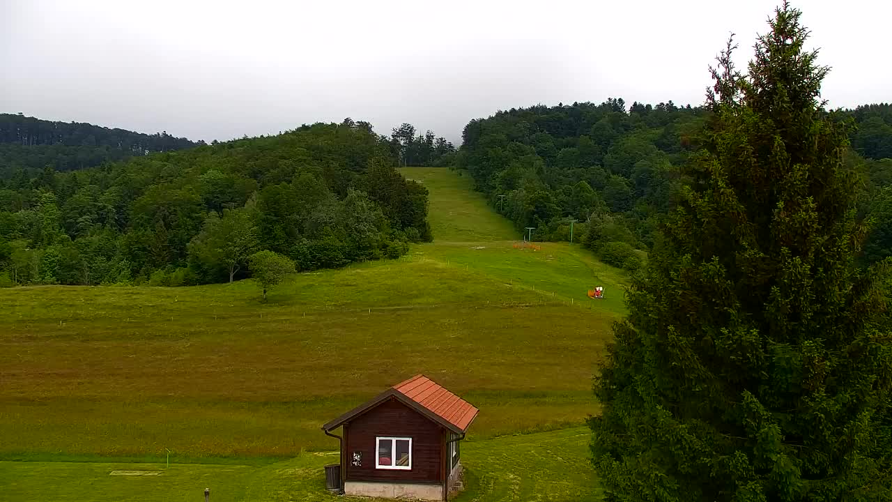 Camera en vivo Lokve – La belleza del bosque de Trnovo