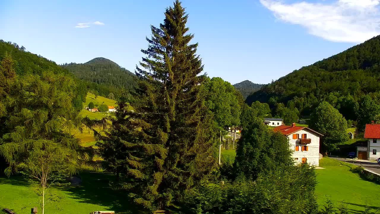Webcam Lokve – The beauty of the Trnovo forest
