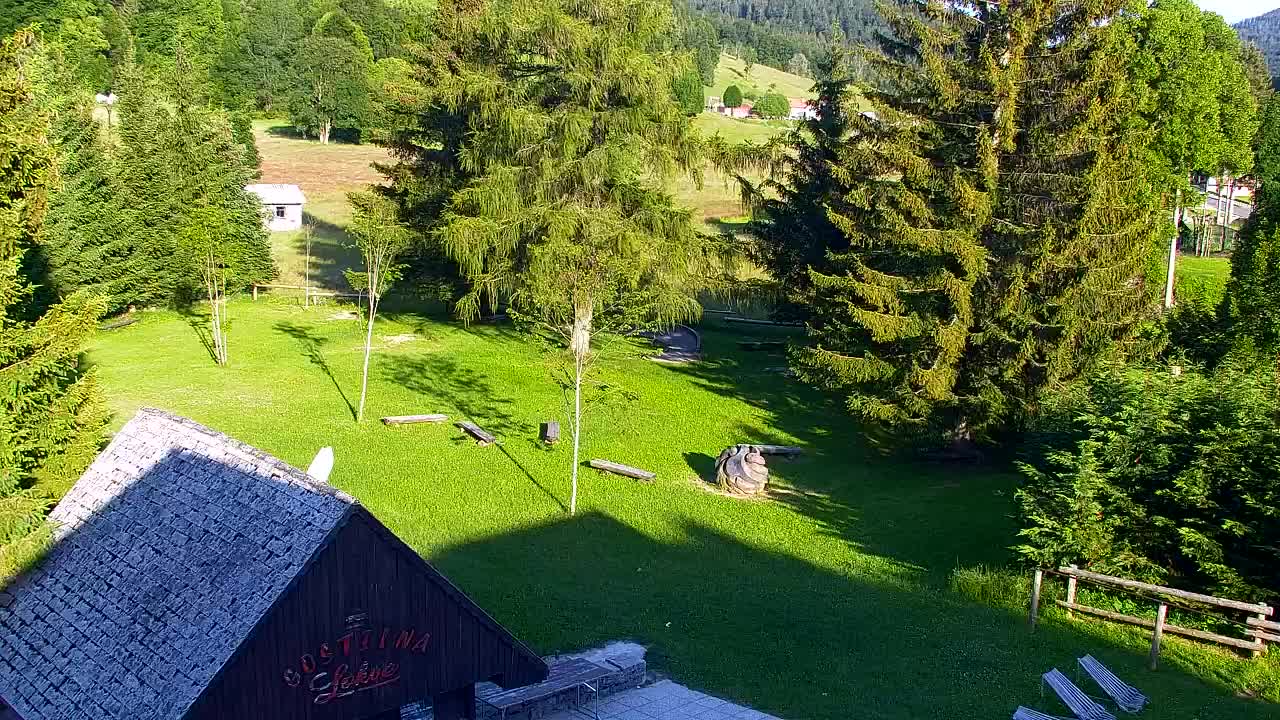 Webcam Lokve – La beauté de la forêt de Trnovo