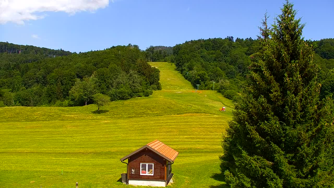Camera en vivo Lokve – La belleza del bosque de Trnovo