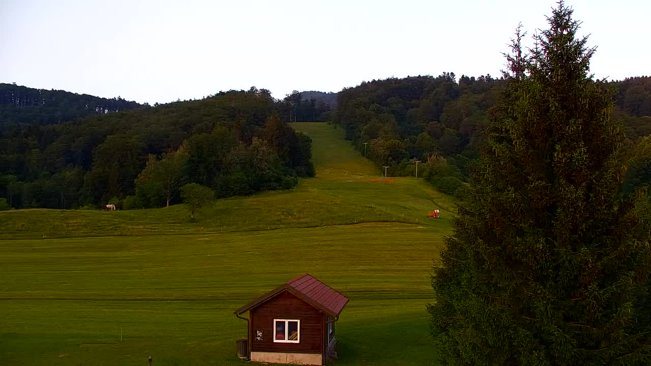 Webcam Lokve – The beauty of the Trnovo forest