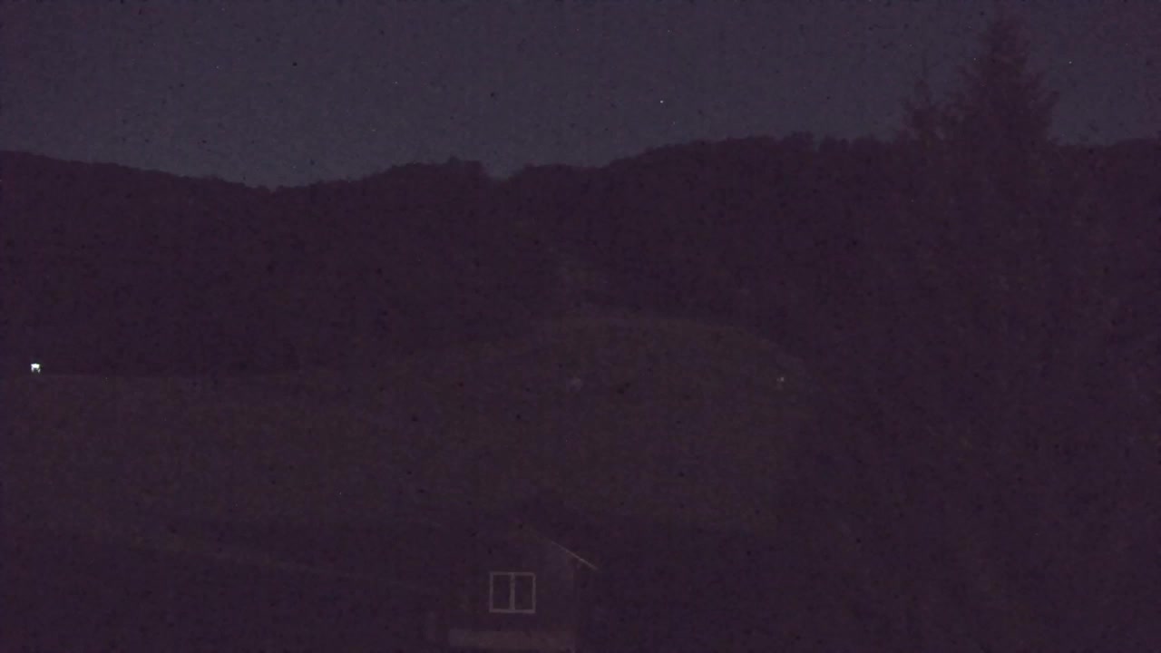 Webcam Lokve – The beauty of the Trnovo forest