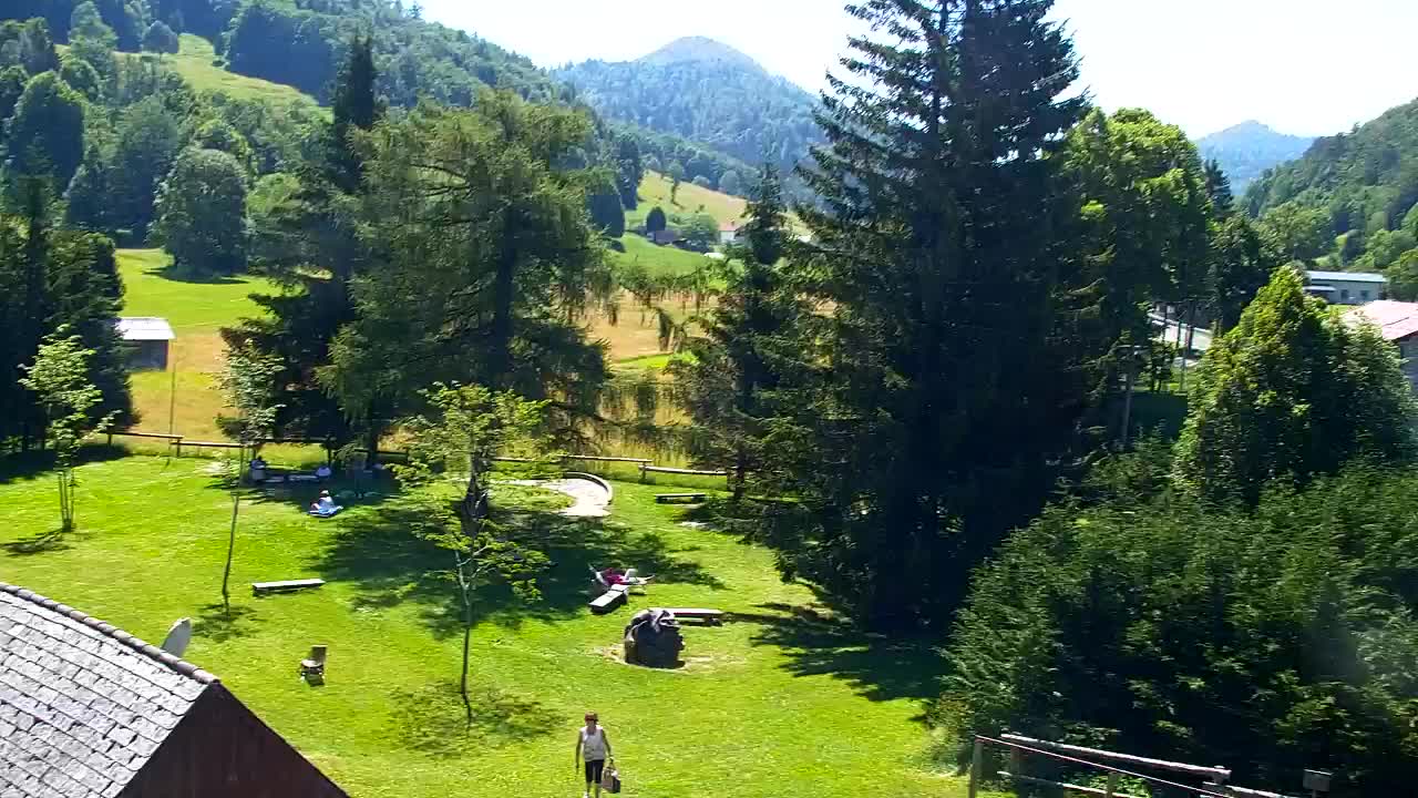 Webcam Lokve – The beauty of the Trnovo forest