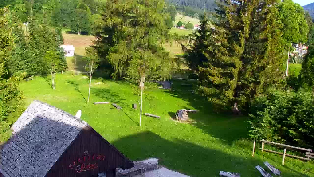 Camera en vivo Lokve – La belleza del bosque de Trnovo