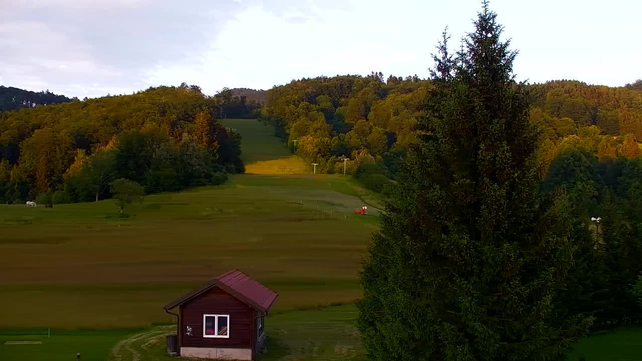 Webcam Lokve – La beauté de la forêt de Trnovo