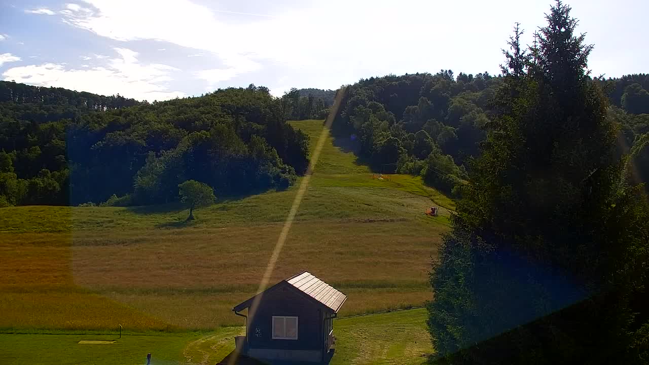 Webcam Loqua / Lokve – La bellezza della selva di Tarnova