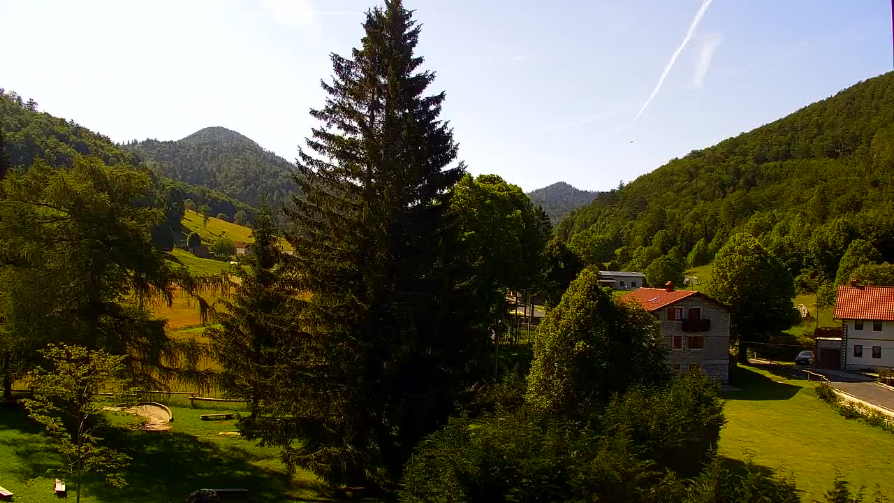 Webcam Lokve – The beauty of the Trnovo forest
