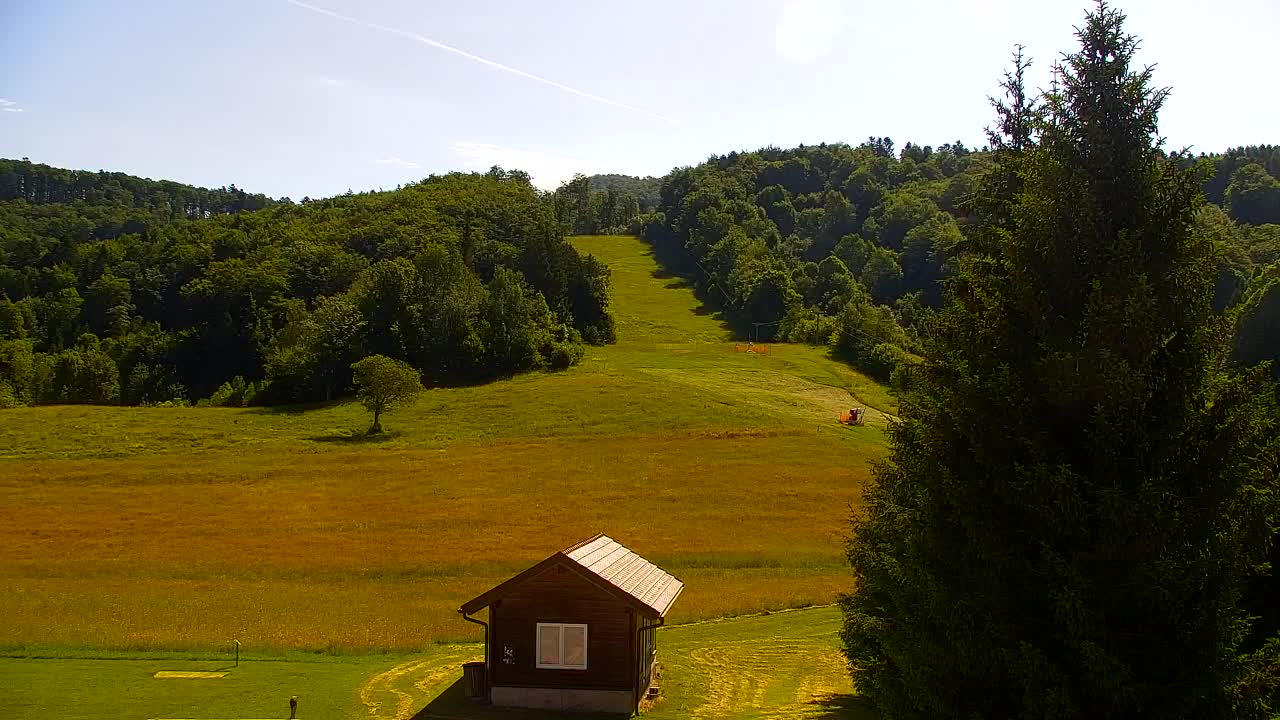 Webcam Lokve – The beauty of the Trnovo forest