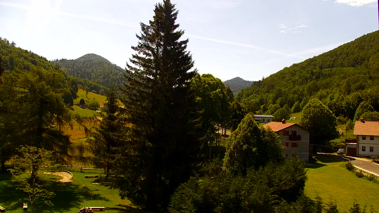 Webcam Lokve – The beauty of the Trnovo forest