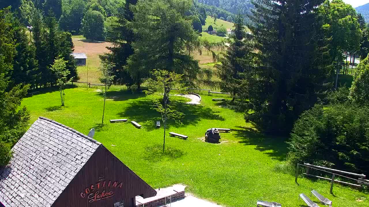 Webcam Loqua / Lokve – La bellezza della selva di Tarnova