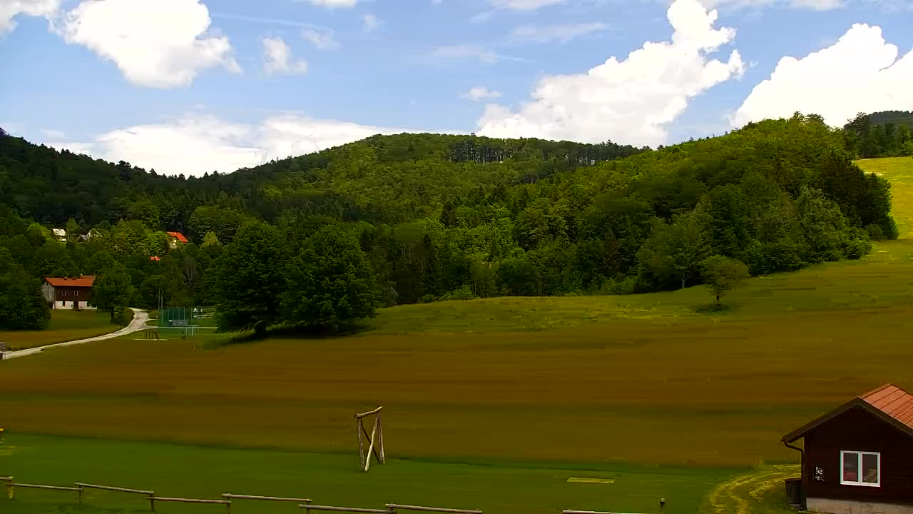 Webcam Lokve – The beauty of the Trnovo forest