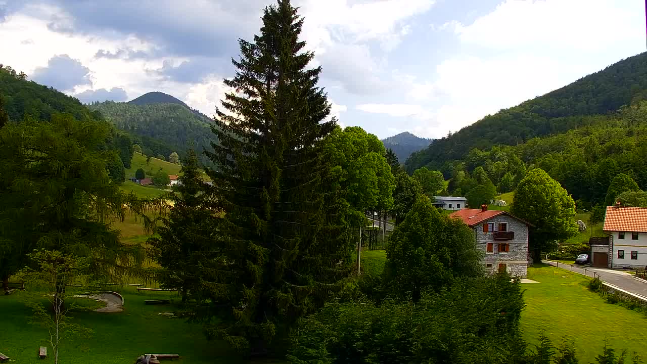Webcam Lokve – The beauty of the Trnovo forest