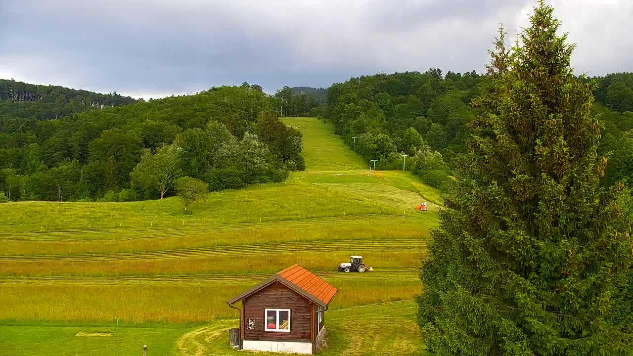 Webcam Lokve – The beauty of the Trnovo forest