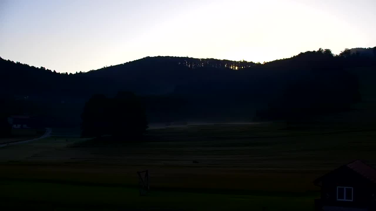 Webcam Lokve – The beauty of the Trnovo forest