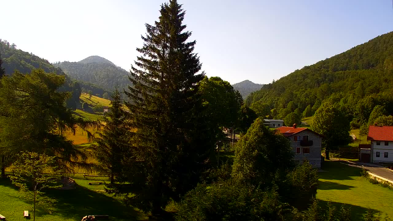 Webcam Loqua / Lokve – La bellezza della selva di Tarnova