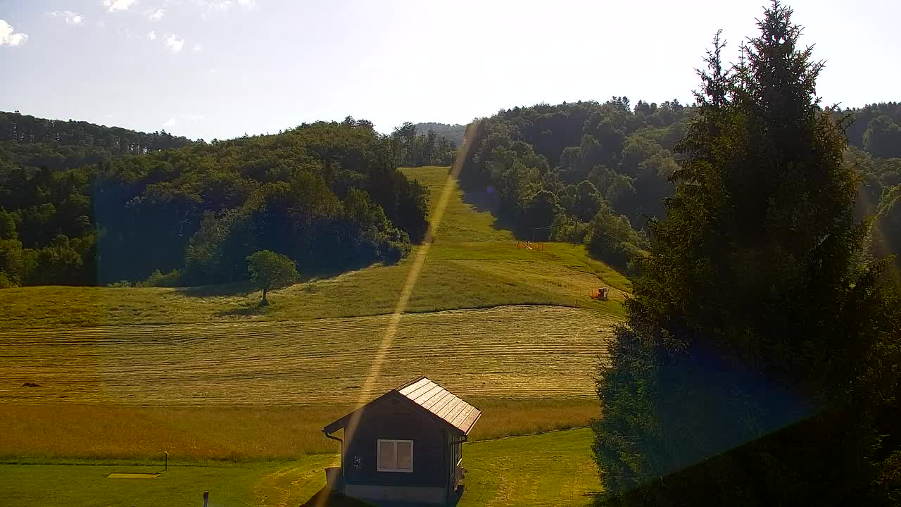 Webcam Lokve – The beauty of the Trnovo forest