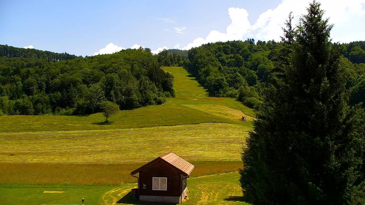 Webcam Lokve – The beauty of the Trnovo forest