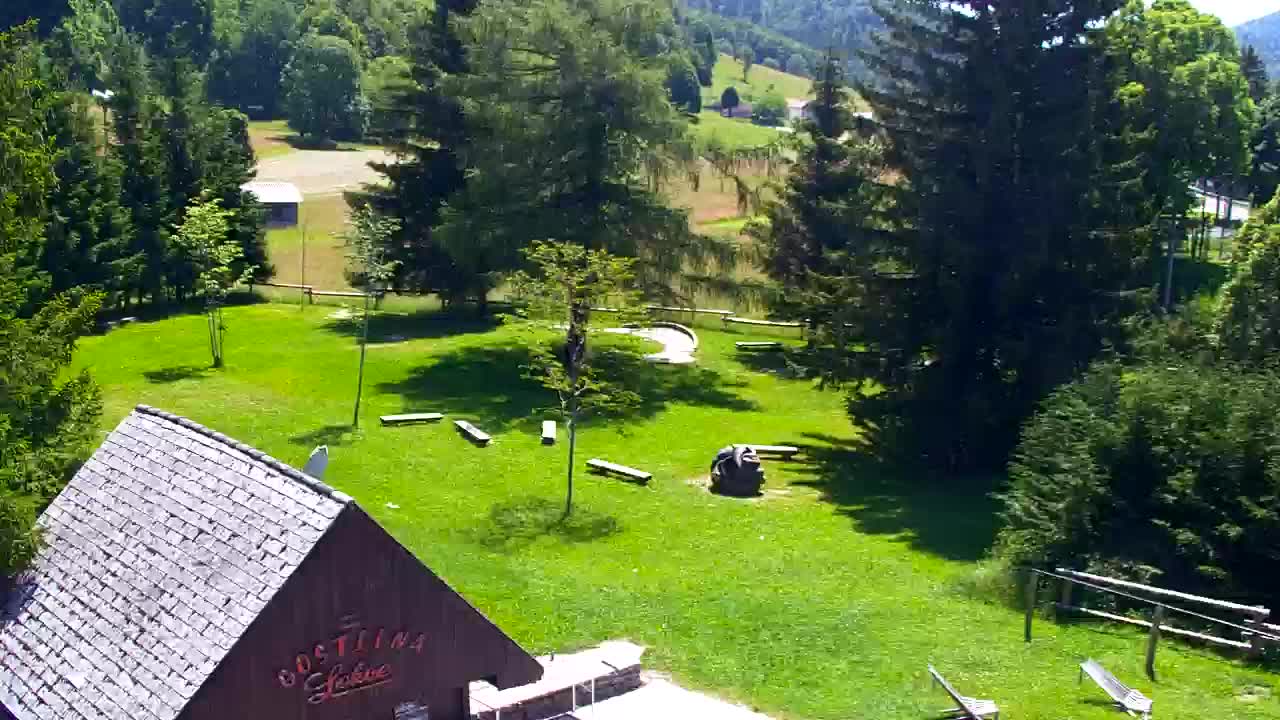 Webcam Loqua / Lokve – La bellezza della selva di Tarnova