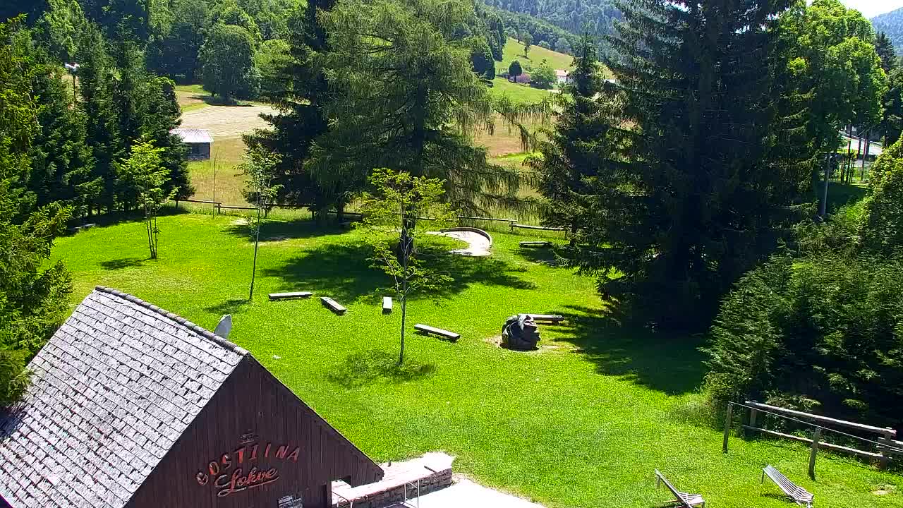 Webcam Loqua / Lokve – La bellezza della selva di Tarnova