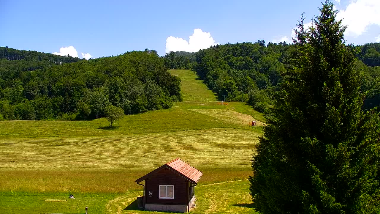 Webcam Lokve – The beauty of the Trnovo forest