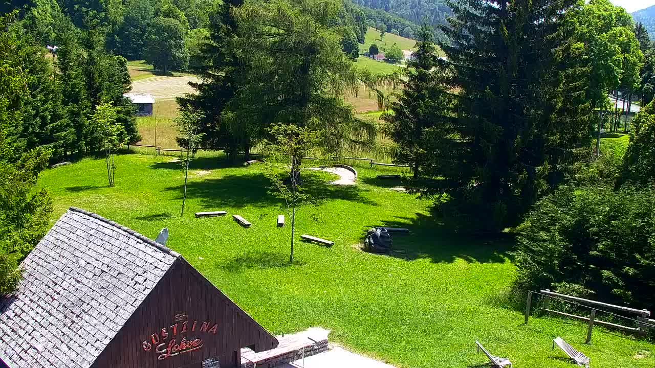 Webcam Lokve – The beauty of the Trnovo forest