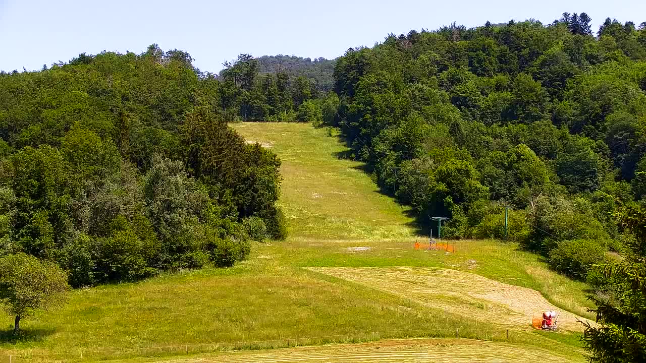 Webcam Loqua / Lokve – La bellezza della selva di Tarnova