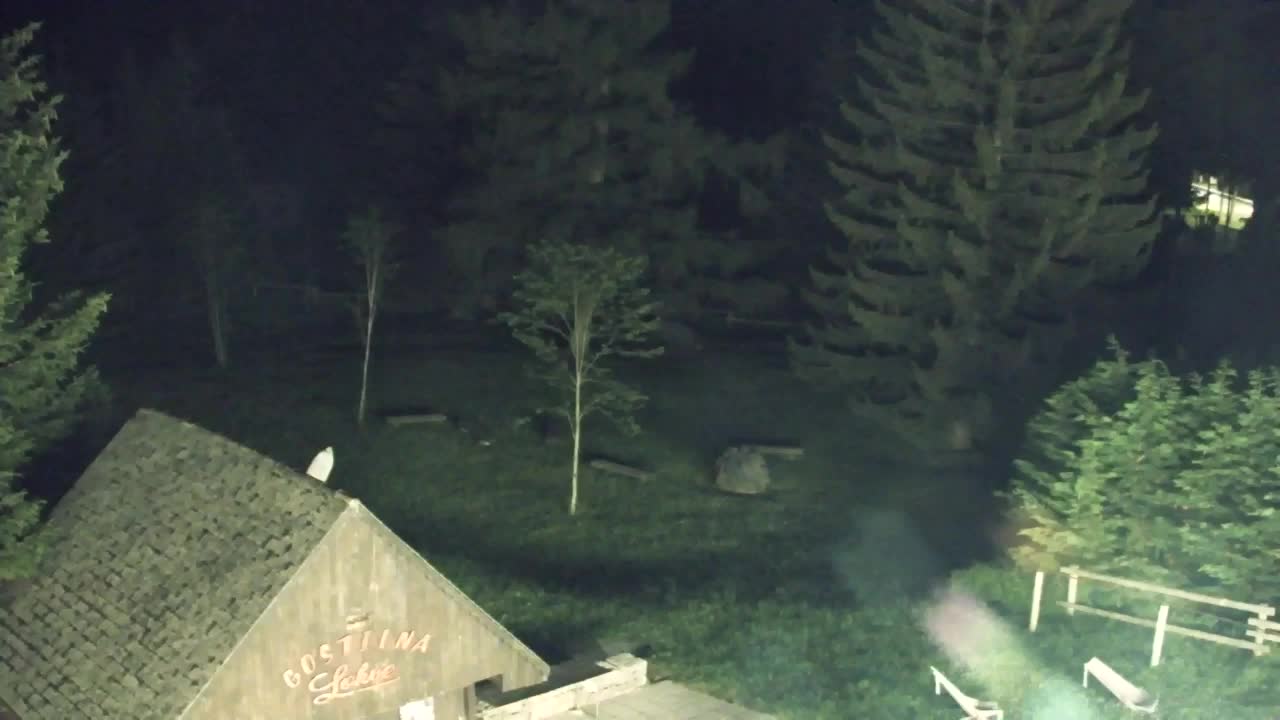 Webcam Lokve – The beauty of the Trnovo forest