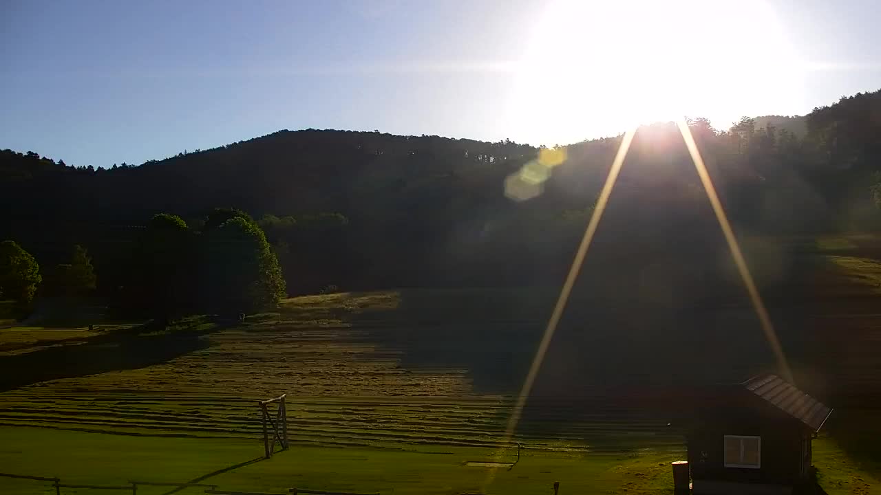 Webcam Lokve – The beauty of the Trnovo forest