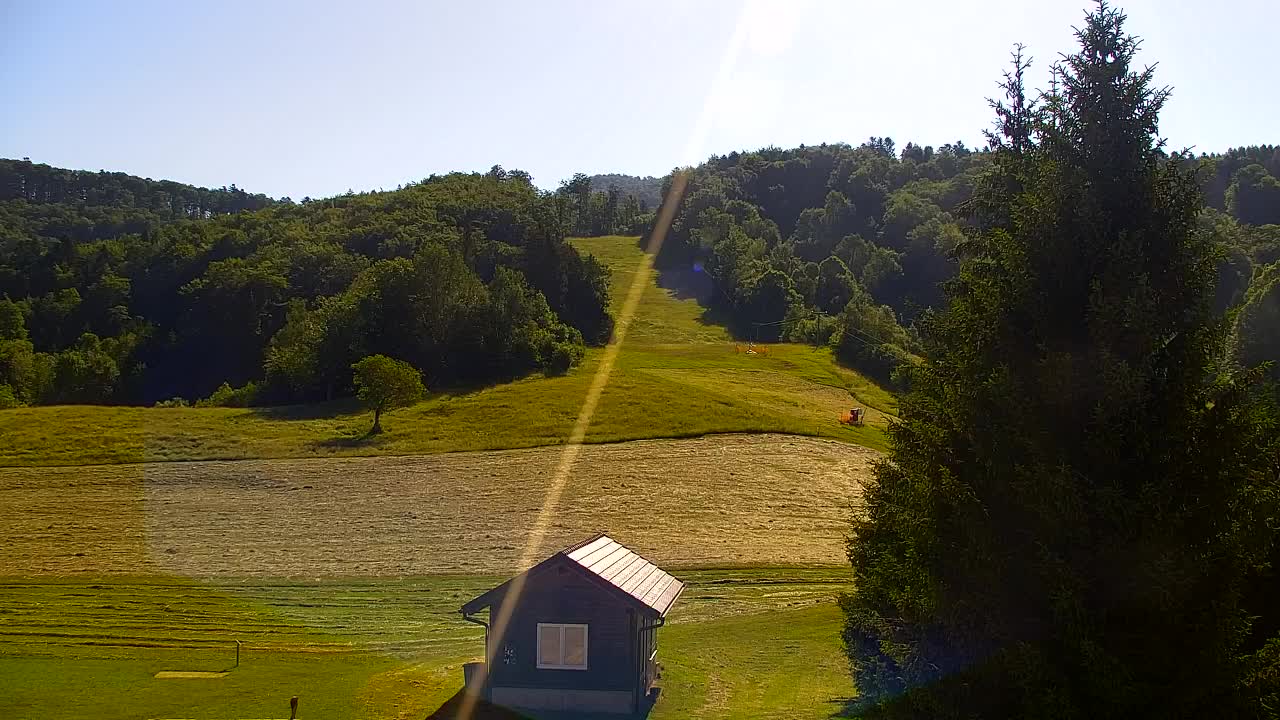 Webcam Lokve – The beauty of the Trnovo forest