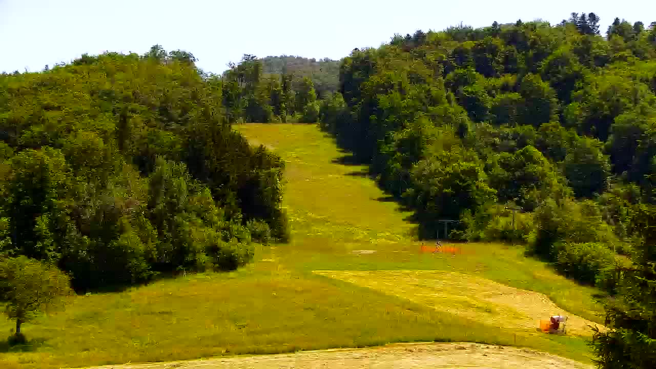 Webcam Lokve – The beauty of the Trnovo forest
