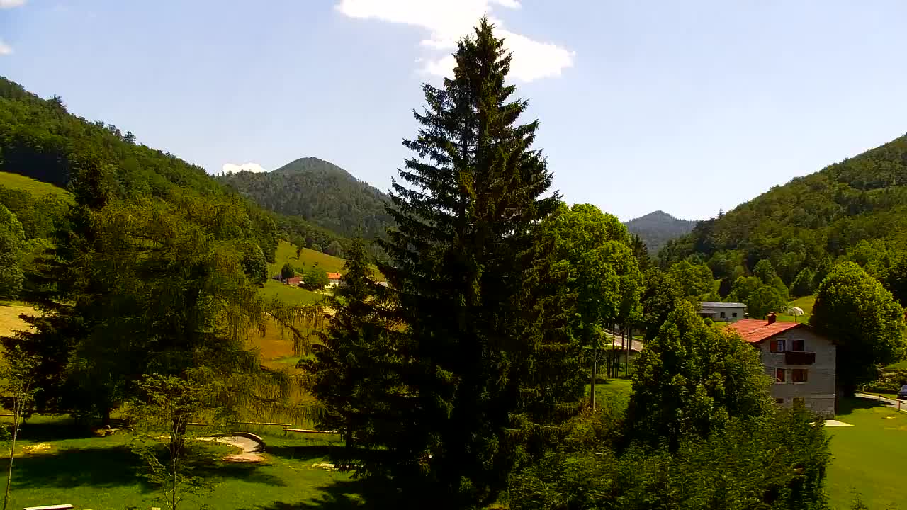 Webcam Lokve – The beauty of the Trnovo forest